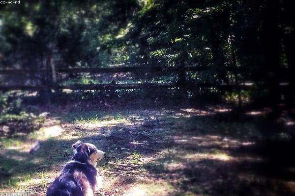 Fuel Cost Calculator tool: Understanding Your 401k Fees — free financial calculator