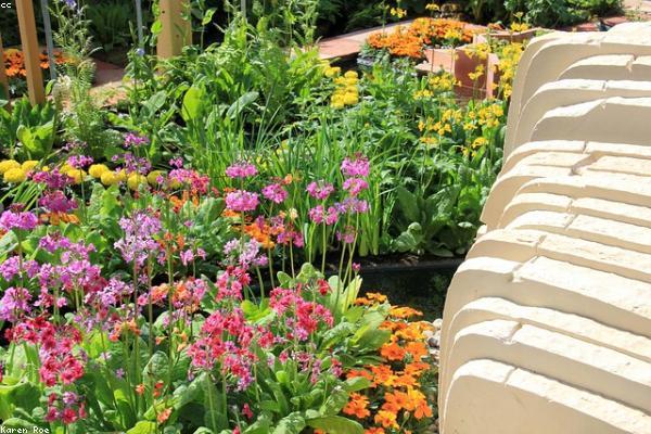 Federal Income Tax Calculator tool: The FIRE Movement: Retire Early — free financial calculator