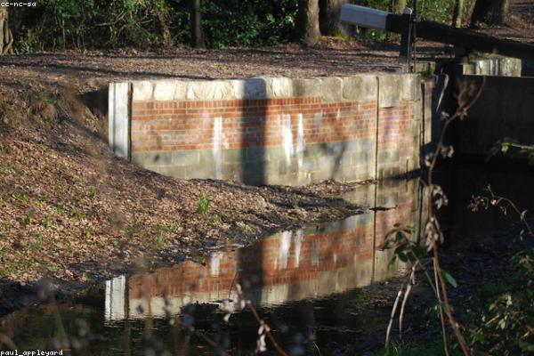 Retirement Savings Calculator tool: Avoiding Common Scams and Fraud — free financial calculator